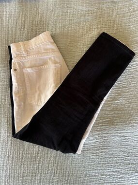 Revice Two Toned Pants